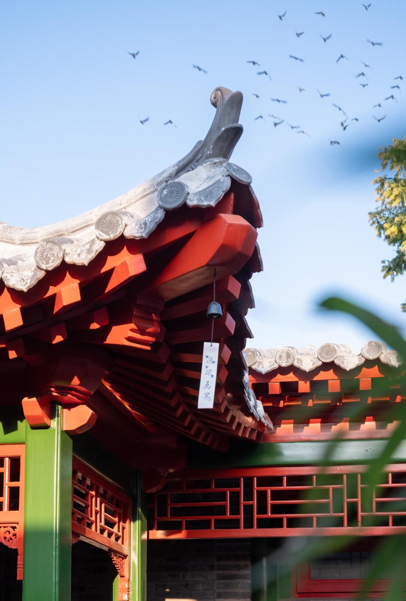 Xinxiang Yayuan: Courtyard With Sky Garden Near Tiananmen